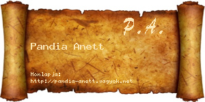 Pandia Anett névjegykártya